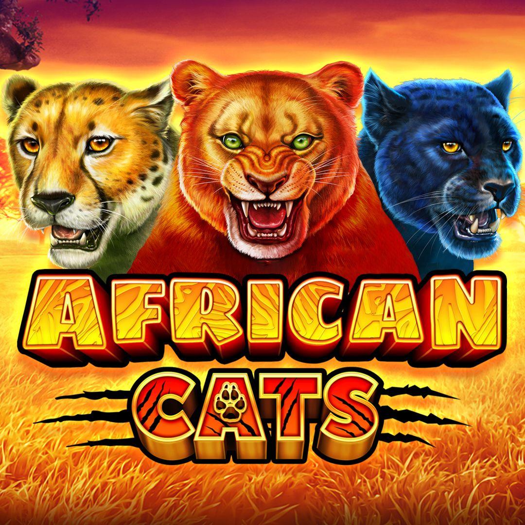 African Cats